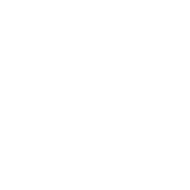 Unsheated Single Core  VLPY , FLY